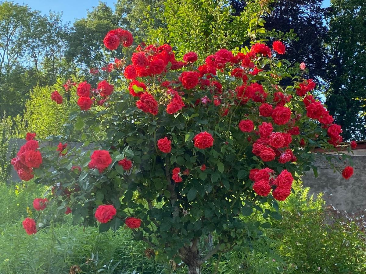 Au Jardin Des Deux Ponts Bed & Breakfast Abbeville Eksteriør bilde