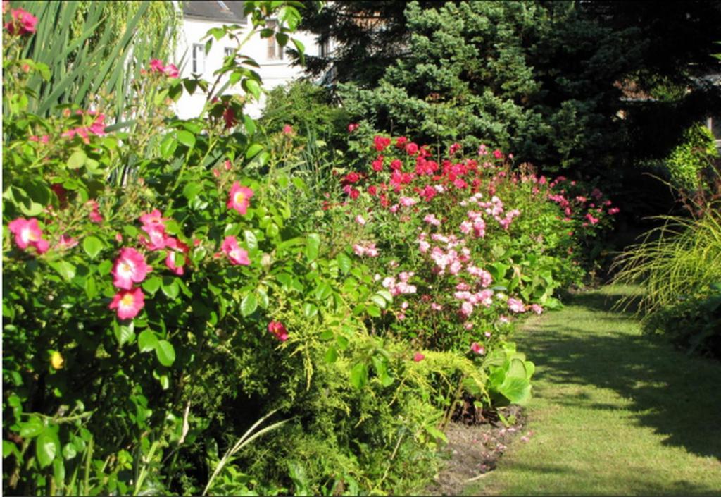 Au Jardin Des Deux Ponts Bed & Breakfast Abbeville Eksteriør bilde